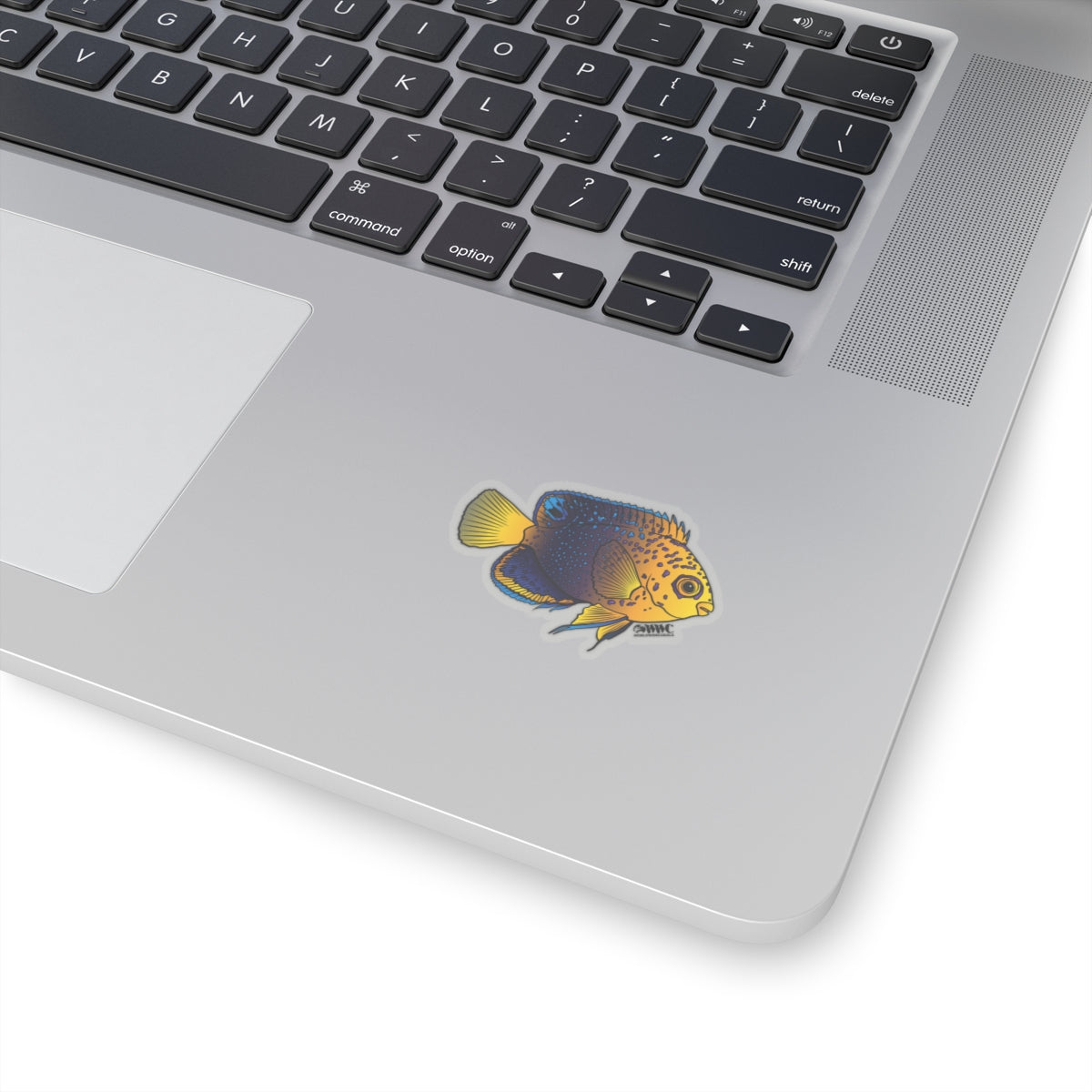 Interruptus Angelfish Sticker