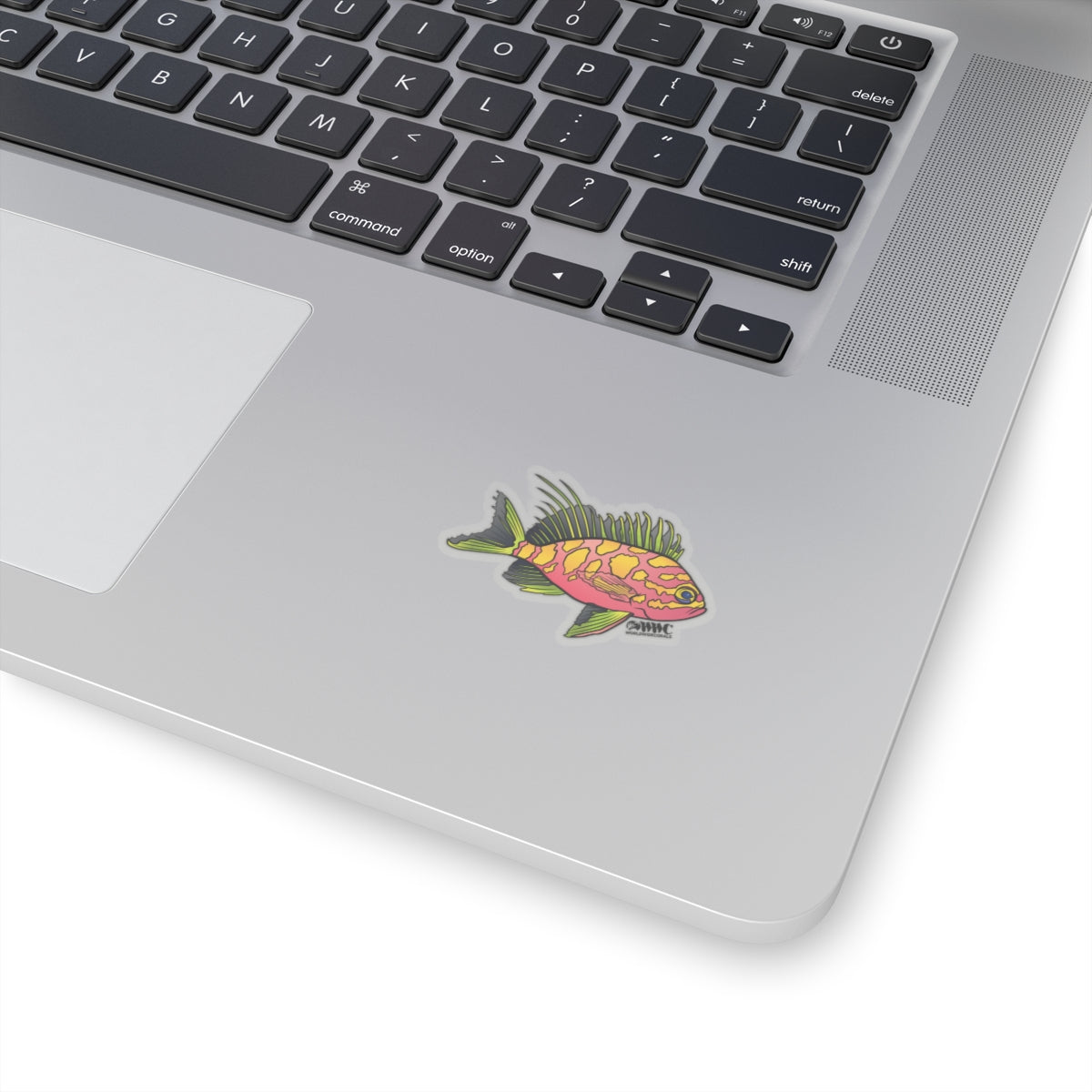 Blotched Anthias Sticker