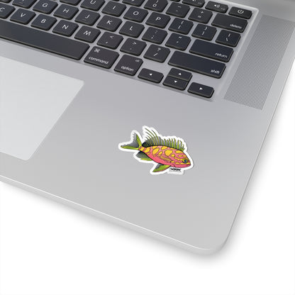 Blotched Anthias Sticker