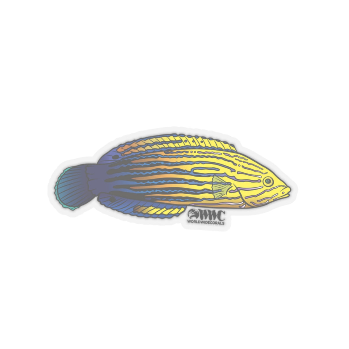 Femininus Wrasse Sticker