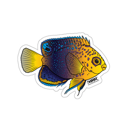 Interruptus Angelfish Sticker