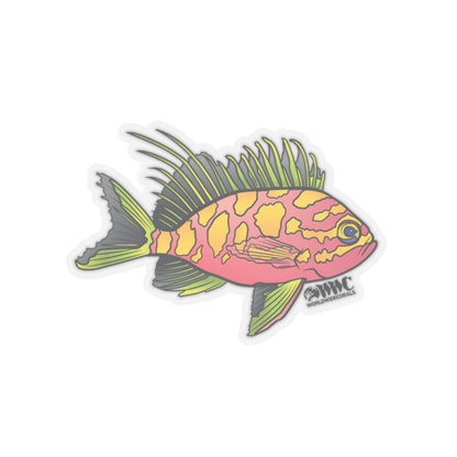 Blotched Anthias Sticker