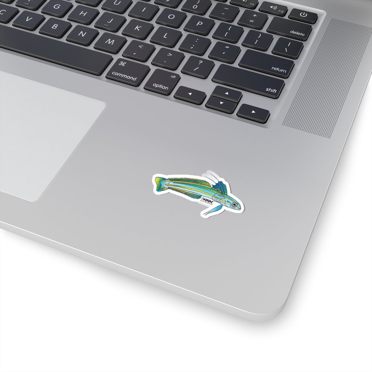 Dartfish Sticker