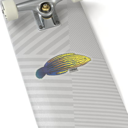 Femininus Wrasse Sticker