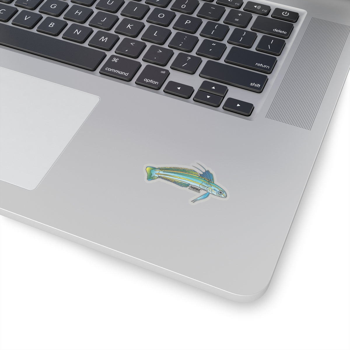 Dartfish Sticker