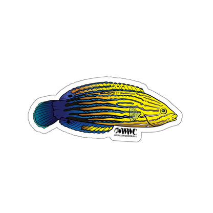 Femininus Wrasse Sticker