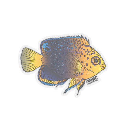 Interruptus Angelfish Sticker