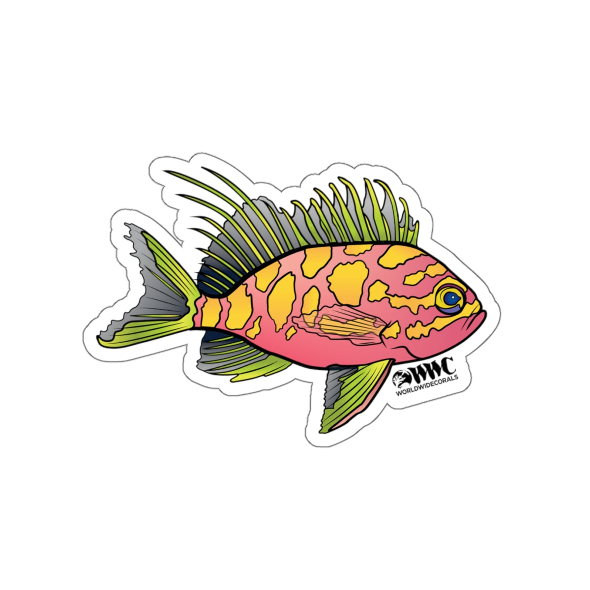 Blotched Anthias Sticker