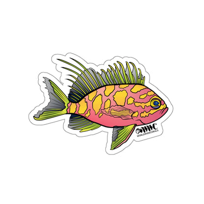 Blotched Anthias Sticker