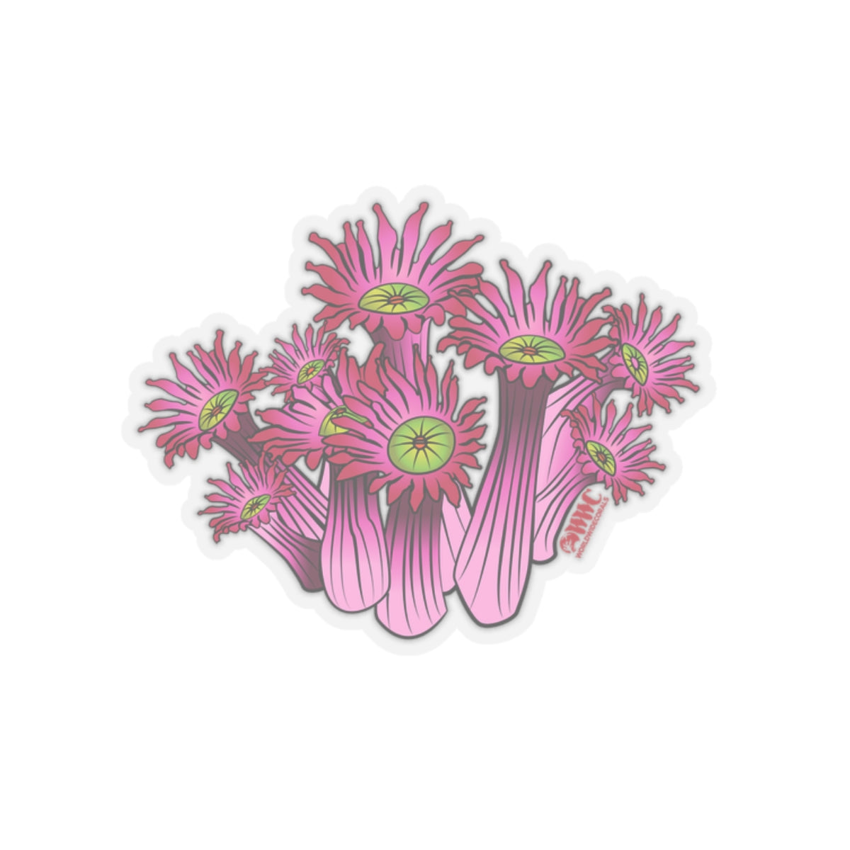 WWC Berry Bonkers Goniopora Sticker