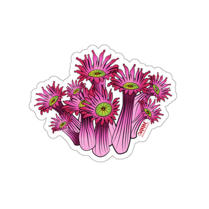 WWC Berry Bonkers Goniopora Sticker