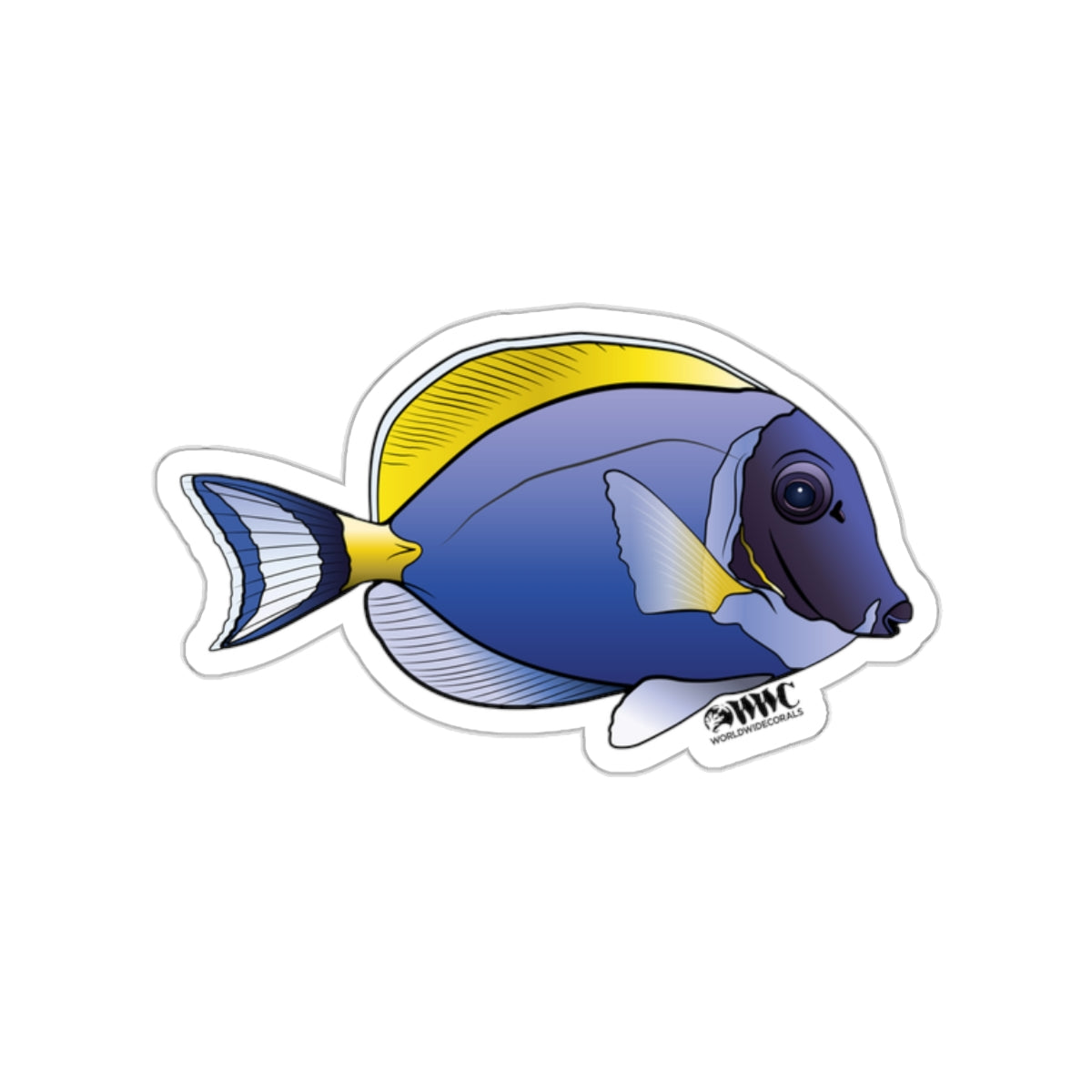 Powder Blue Tang Sticker – worldwidecorals-merch