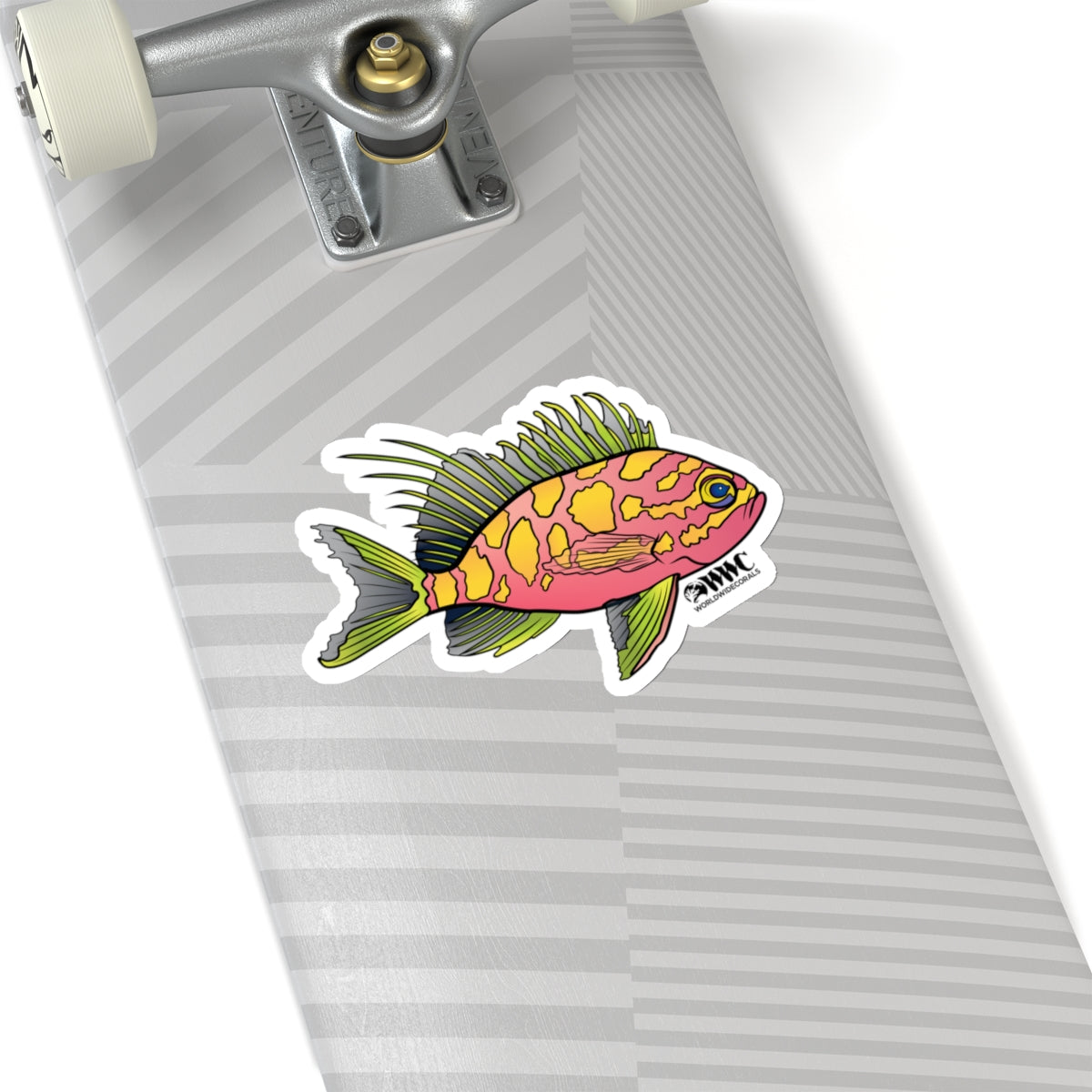 Blotched Anthias Sticker