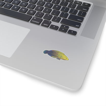 Femininus Wrasse Sticker