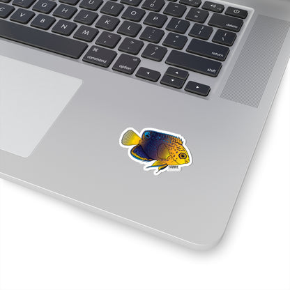 Interruptus Angelfish Sticker