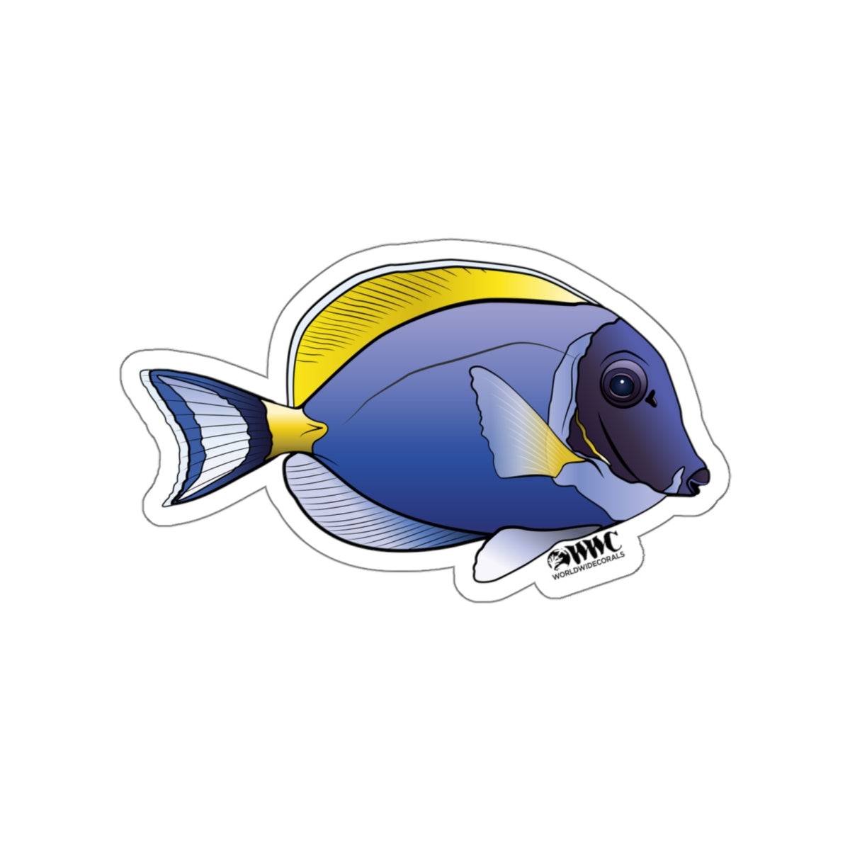 Powder Blue Tang Sticker