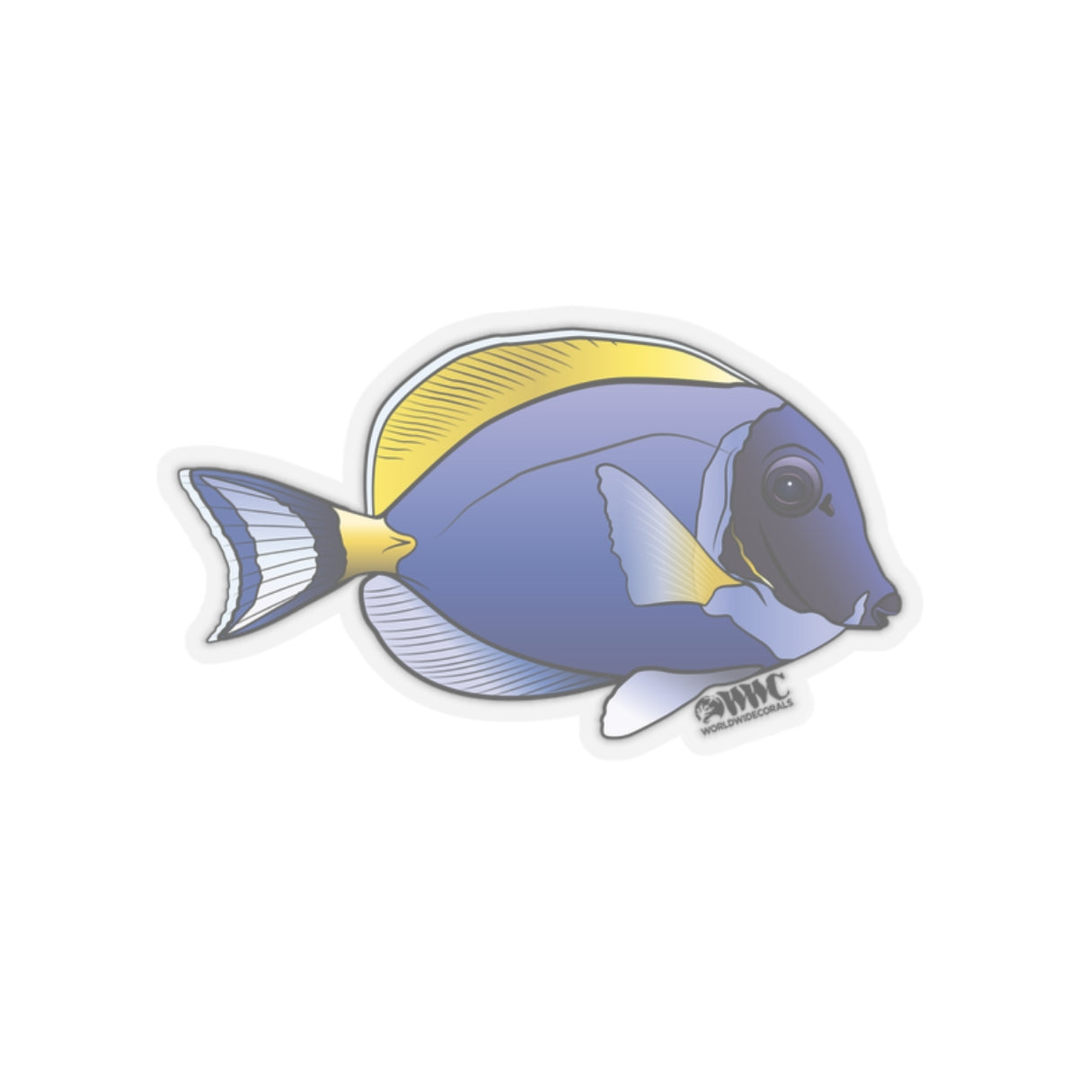 Powder Blue Tang Sticker