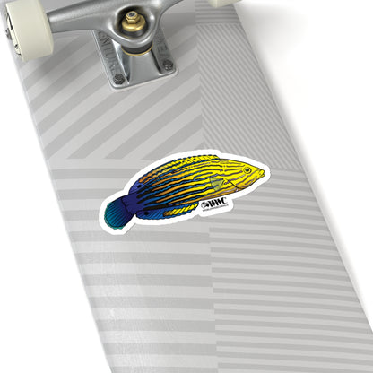 Femininus Wrasse Sticker